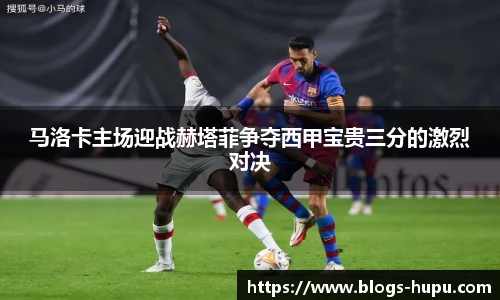 虎扑体育nba